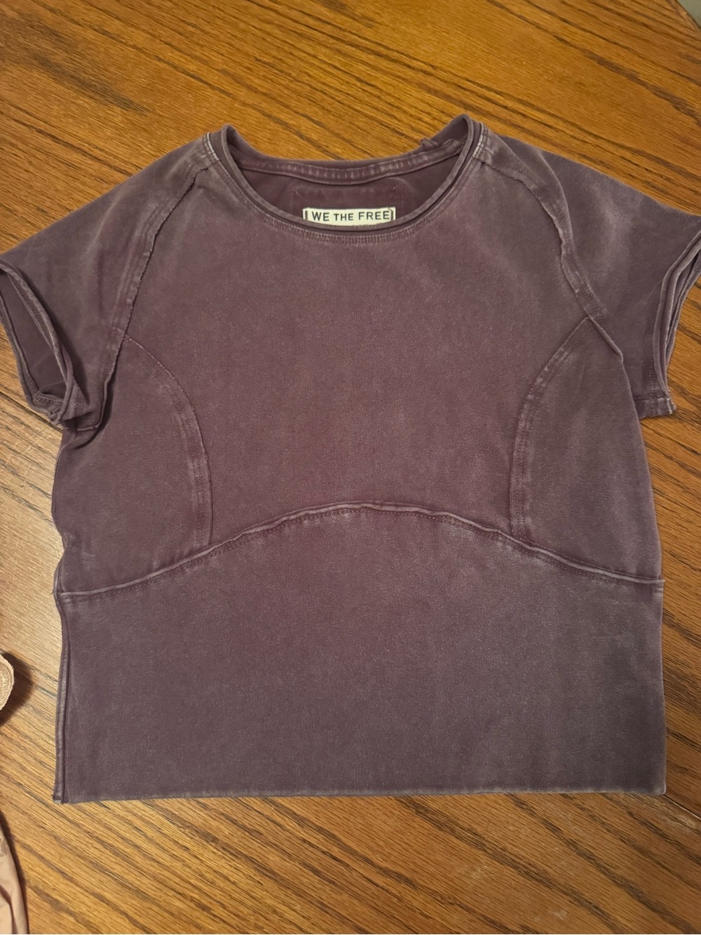 We The Free Washed Mauve Short Sleeve Cropped Tee